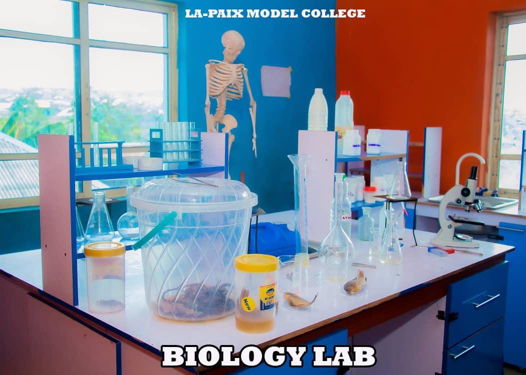 La-Paix Model College Computer Lab